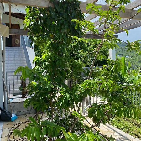Bas De Villa Courbaril บูญองต์ ภายนอก รูปภาพ