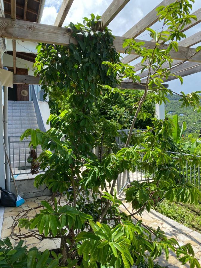 Bas De Villa Courbaril บูญองต์ ภายนอก รูปภาพ